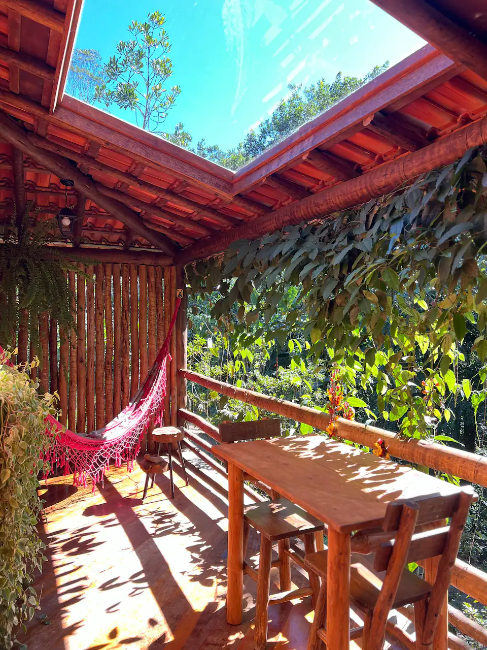 Manacá da Serra (27)