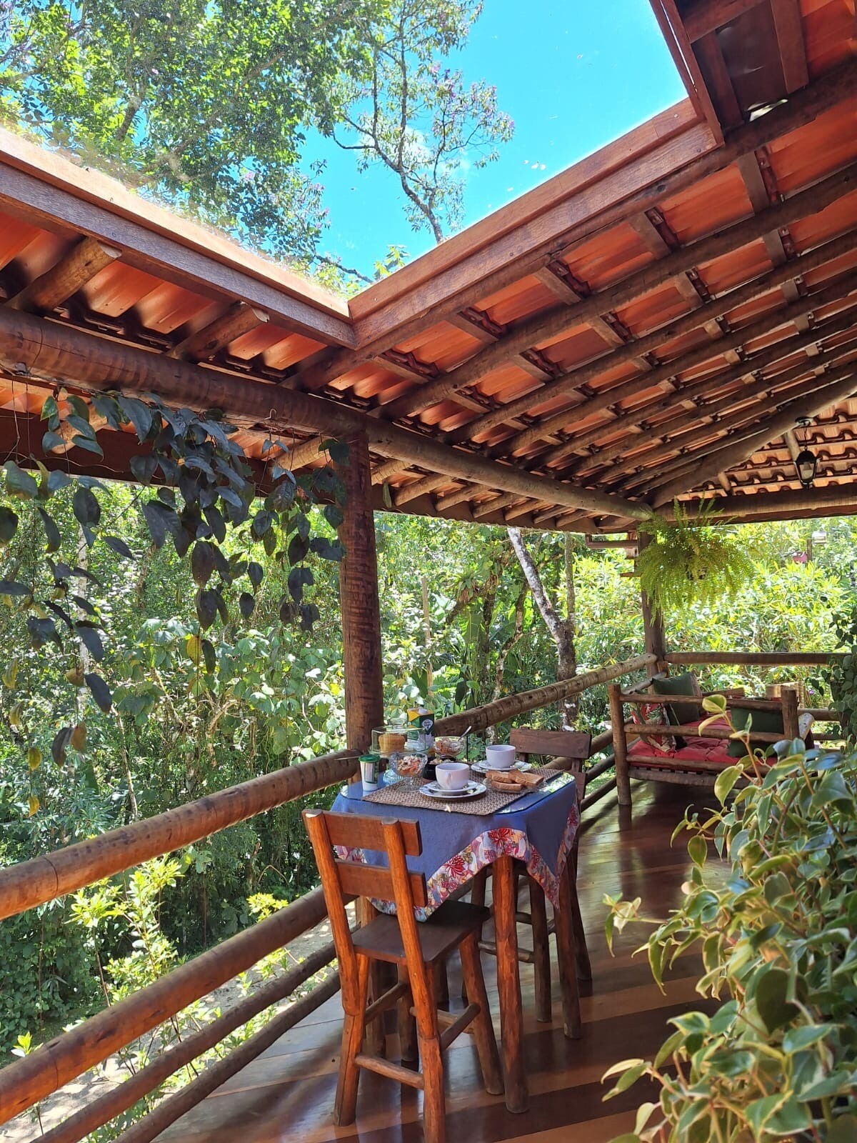 Manacá da Serra (35)